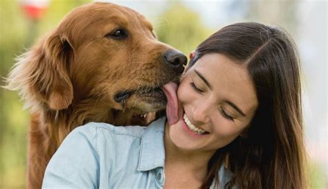 videos de perros con mujeres|Mujer encuentra a sus perros haciendo lo más lindo con el